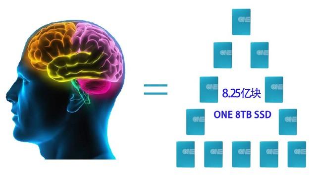 最新腦科學(xué)研究揭秘未知領(lǐng)域，重塑未來(lái)世界新篇章