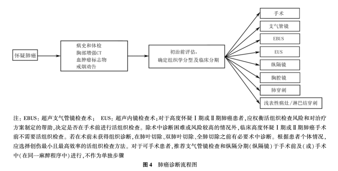 最新醫(yī)學(xué)指南，引領(lǐng)醫(yī)學(xué)進(jìn)步，照亮人類健康之路