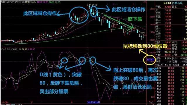 2024天天彩正版資料大全十｜實用技巧與詳細解析