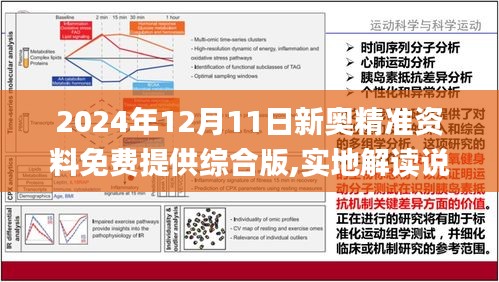 2024年新奧最新資料內(nèi)部資料｜統(tǒng)計(jì)解答解釋落實(shí)