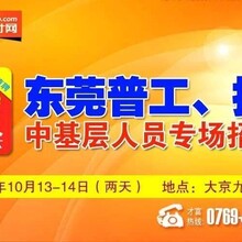 最新人才市場招聘信息解讀與深度探討