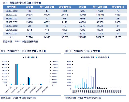 商品期權(quán)最新動態(tài)，市場動向引領(lǐng)投資者策略調(diào)整