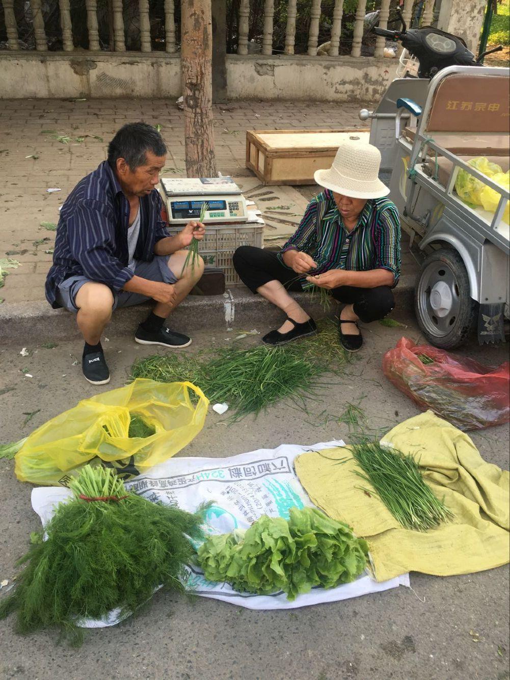 最新老頭老太現(xiàn)象，多元解讀社會(huì)現(xiàn)象下的深度探討