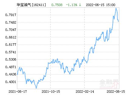 華寶油氣最新凈值深度解讀及前景展望，洞悉油氣市場(chǎng)趨勢(shì)與機(jī)遇！