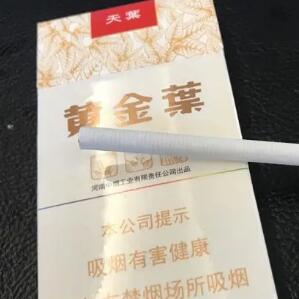 黃金葉最新香煙，品質(zhì)升級(jí)與創(chuàng)新的完美融合