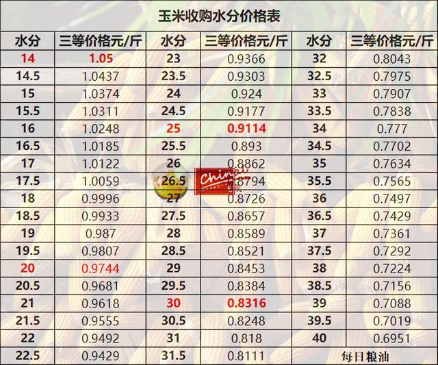 保定玉米最新行情深度解析與展望